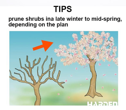 Tesoura de Jardim HARDEN 8" – Lâmina SK5 de Alta Precisão para Poda Profissional