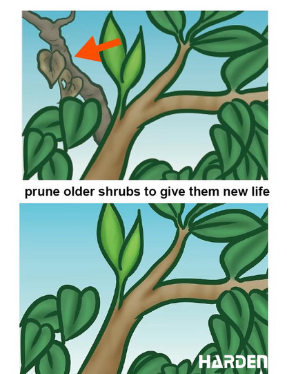 Tesoura de Jardim HARDEN 8" – Lâmina SK5 de Alta Precisão para Poda Profissional