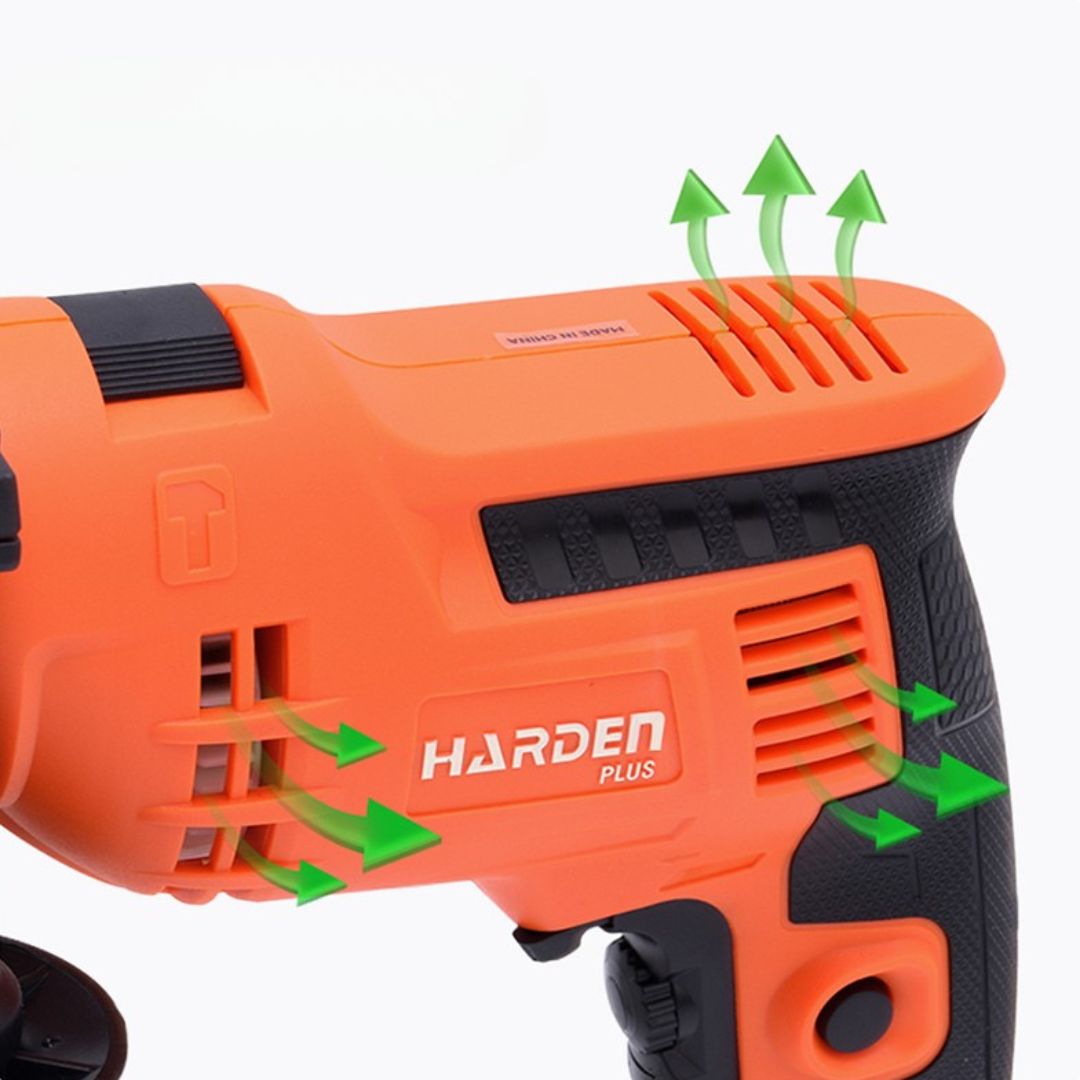 Furadeira Elétrica 810 W (220V)